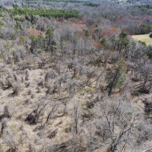 Photo #16 of Off Goodman Road, Lot-2, Pelham, NC 2.6 acres