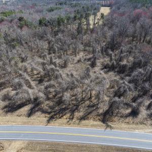 Photo #23 of Off Goodman Road, Lot-2, Pelham, NC 2.6 acres