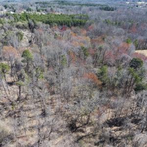Photo #6 of Lot-3, Off Goodman Road, Pelham, NC 3.3 acres