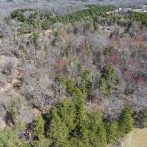 Photo #8 of Lot-3, Off Goodman Road, Pelham, NC 3.3 acres