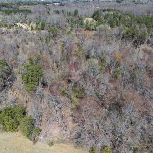 Photo #11 of Lot-3, Off Goodman Road, Pelham, NC 3.3 acres