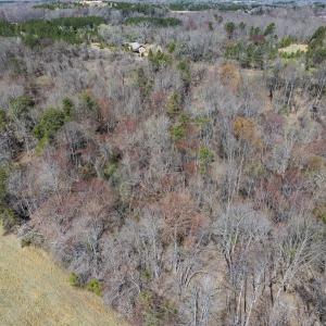Photo #13 of Lot-3, Off Goodman Road, Pelham, NC 3.3 acres