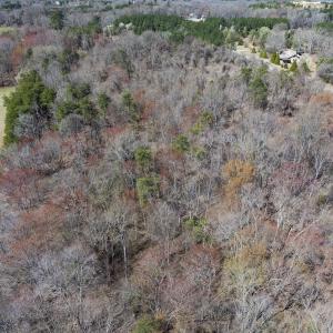 Photo #17 of Lot-3, Off Goodman Road, Pelham, NC 3.3 acres