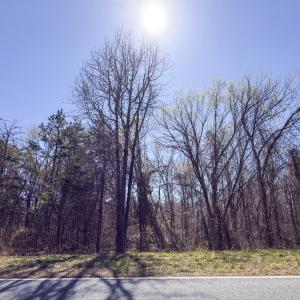 Photo #20 of Lot-3, Off Goodman Road, Pelham, NC 3.3 acres