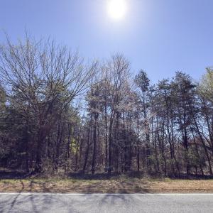 Photo #6 of Off Goodman Road, Lot 4, Pelham, NC 4.5 acres