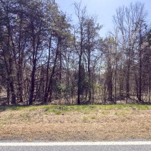 Photo #11 of Off Goodman Road, Lot 4, Pelham, NC 4.5 acres