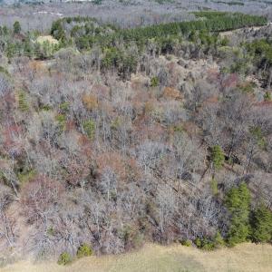 Photo #13 of Off Goodman Road, Lot 4, Pelham, NC 4.5 acres