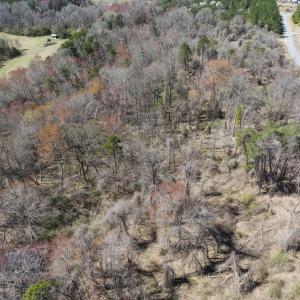 Photo #16 of Off Goodman Road, Lot 4, Pelham, NC 4.5 acres