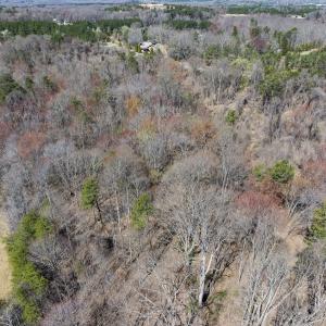 Photo #19 of Off Goodman Road, Lot 4, Pelham, NC 4.5 acres