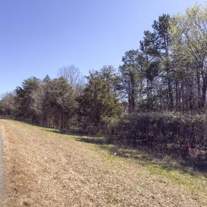 Photo #23 of Off Goodman Road, Lot 4, Pelham, NC 4.5 acres