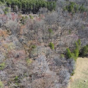 Photo #24 of Off Goodman Road, Lot 4, Pelham, NC 4.5 acres