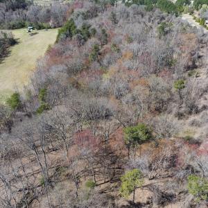 Photo #26 of Off Goodman Road, Lot 4, Pelham, NC 4.5 acres