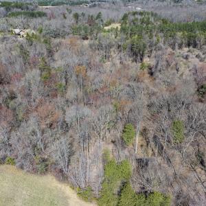 Photo #28 of Off Goodman Road, Lot 4, Pelham, NC 4.5 acres