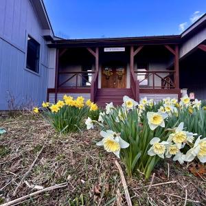 Photo #10 of 80 Oriskany Square , Eagle Rock, VA 35.8 acres