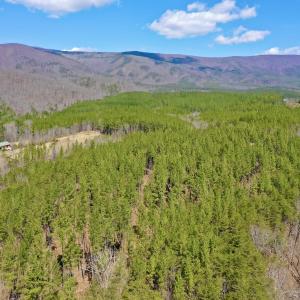 Photo #2 of 80 Oriskany Square , Eagle Rock, VA 35.8 acres