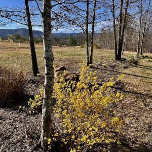 Photo #45 of 80 Oriskany Square , Eagle Rock, VA 35.8 acres