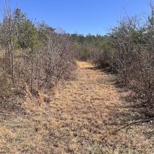 Photo #58 of 80 Oriskany Square , Eagle Rock, VA 35.8 acres