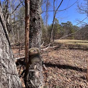 Photo #73 of 80 Oriskany Square , Eagle Rock, VA 35.8 acres