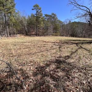 Photo #75 of 80 Oriskany Square , Eagle Rock, VA 35.8 acres