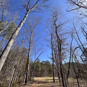 Photo #76 of 80 Oriskany Square , Eagle Rock, VA 35.8 acres