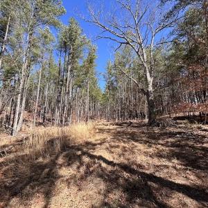 Photo #77 of 80 Oriskany Square , Eagle Rock, VA 35.8 acres