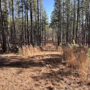 Photo #78 of 80 Oriskany Square , Eagle Rock, VA 35.8 acres