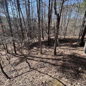 Photo #90 of 80 Oriskany Square , Eagle Rock, VA 35.8 acres