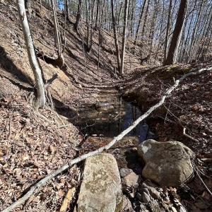 Photo #82 of 80 Oriskany Square , Eagle Rock, VA 35.8 acres