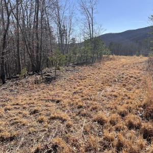 Photo #83 of 80 Oriskany Square , Eagle Rock, VA 35.8 acres