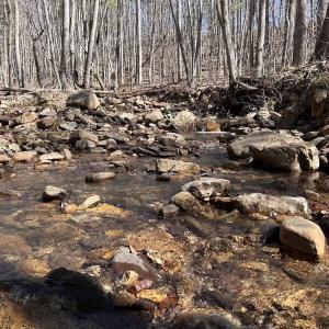 Photo #87 of 80 Oriskany Square , Eagle Rock, VA 35.8 acres