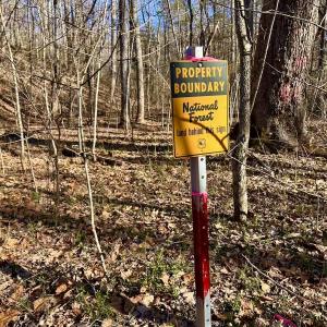 Photo #88 of 80 Oriskany Square , Eagle Rock, VA 35.8 acres