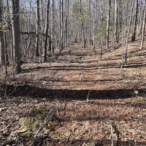 Photo #89 of 80 Oriskany Square , Eagle Rock, VA 35.8 acres