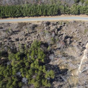 Photo #5 of Off Goodman Road, Lot-6, Pelham, NC 8.6 acres