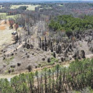Photo #11 of Off Goodman Road, Lot-6, Pelham, NC 8.6 acres