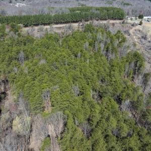Photo #17 of Off Goodman Road, Lot-6, Pelham, NC 8.6 acres