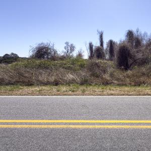 Photo #18 of Off Goodman Road, Lot-6, Pelham, NC 8.6 acres
