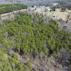 Photo #22 of Off Goodman Road, Lot-6, Pelham, NC 8.6 acres