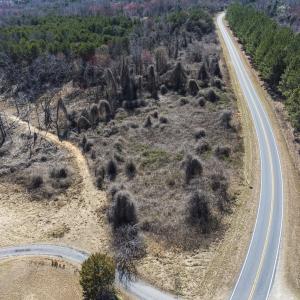 Photo #23 of Off Goodman Road, Lot-6, Pelham, NC 8.6 acres