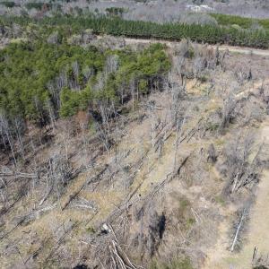 Photo #24 of Off Goodman Road, Lot-6, Pelham, NC 8.6 acres