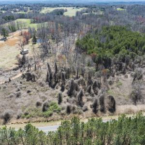 Photo #25 of Off Goodman Road, Lot-6, Pelham, NC 8.6 acres