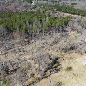 Photo #26 of Off Goodman Road, Lot-6, Pelham, NC 8.6 acres