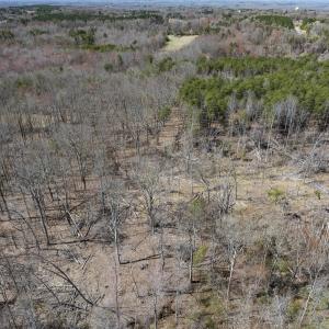 Photo #27 of Off Goodman Road, Lot-6, Pelham, NC 8.6 acres