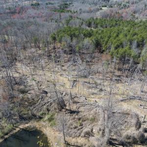 Photo #29 of Off Goodman Road, Lot-6, Pelham, NC 8.6 acres