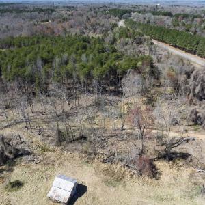 Photo #32 of Off Goodman Road, Lot-6, Pelham, NC 8.6 acres