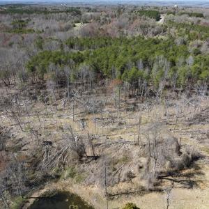 Photo #34 of Off Goodman Road, Lot-6, Pelham, NC 8.6 acres