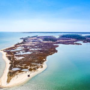 Photo #1 of Off Bay Tree Beach Rd, Seaford, VA 185.0 acres
