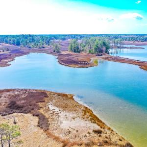 Photo #3 of Off Bay Tree Beach Rd, Seaford, VA 185.0 acres