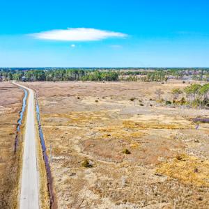 Photo #4 of Off Bay Tree Beach Rd, Seaford, VA 185.0 acres