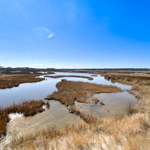 Photo #7 of Off Bay Tree Beach Rd, Seaford, VA 185.0 acres