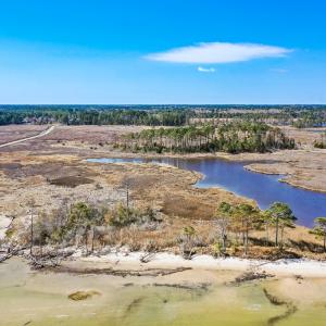 Photo #8 of Off Bay Tree Beach Rd, Seaford, VA 185.0 acres